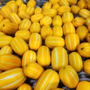 성주참외 가정용 혼밥과, 10kg 이상, 1박스