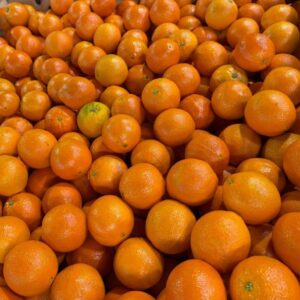 호주산 오렌지, 특과, 2kg, 9-11과, 1개