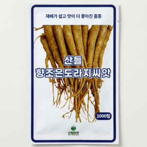 도라지 씨앗, 1000립, 2개