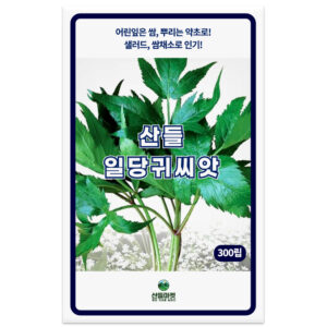 산들 일당귀 씨앗, 300립, 1개