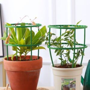 원형 화분 식물지지대, 25cm, 4개