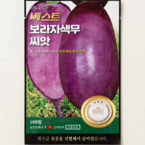 보라자색 무 씨앗, 100립, 1개