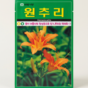 원추리 씨앗 30립, 1개