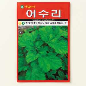 토종 어수리 씨앗, 50립, 1개