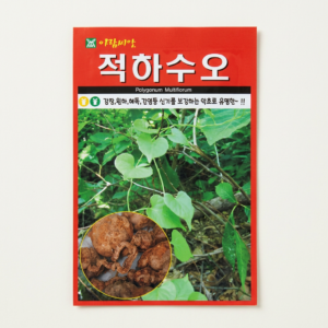적하수오 씨앗, 50립, 1개