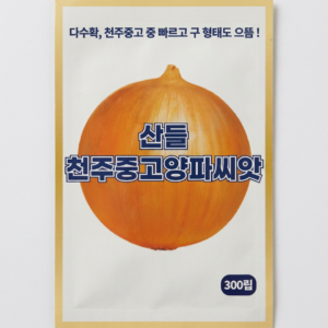 천주중고 양파 씨앗, 300립, 1개