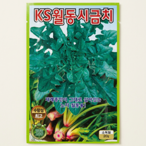 KS seed 월동시금치 씨앗, 20g, 2개