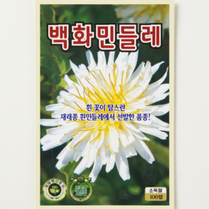 백화민들레 씨앗, 100립, 1개