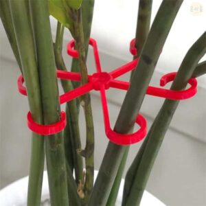 식물 지지대, 블랙, 4P, 1개