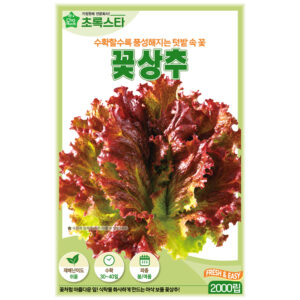 초록스타 꽃상추, 2000립, 1개