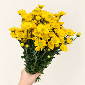 꽃마음결 소국 생화 꽃다발, 노란색 계열, 1개