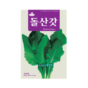 돌산갓씨앗, 2000립, 1개