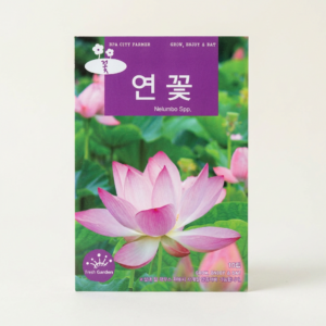 연꽃씨앗, 10립, 1개