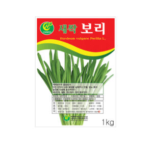 CNSEED 새싹보리씨앗, 1kg, 1개