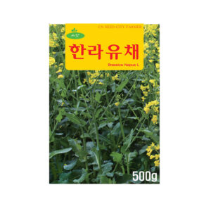 한라유채씨앗, 500g, 1개