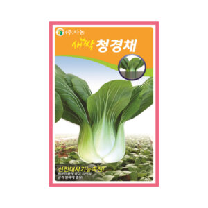다농 새싹 청경채씨앗, 12g, 1개