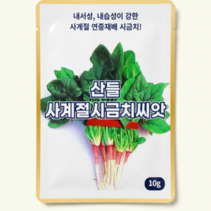 산들 사계절 시금치씨앗, 10g, 2개