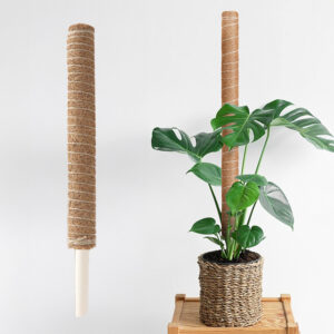 랩앤툴스 코코봉 연결형 수태봉, 60cm, 1개